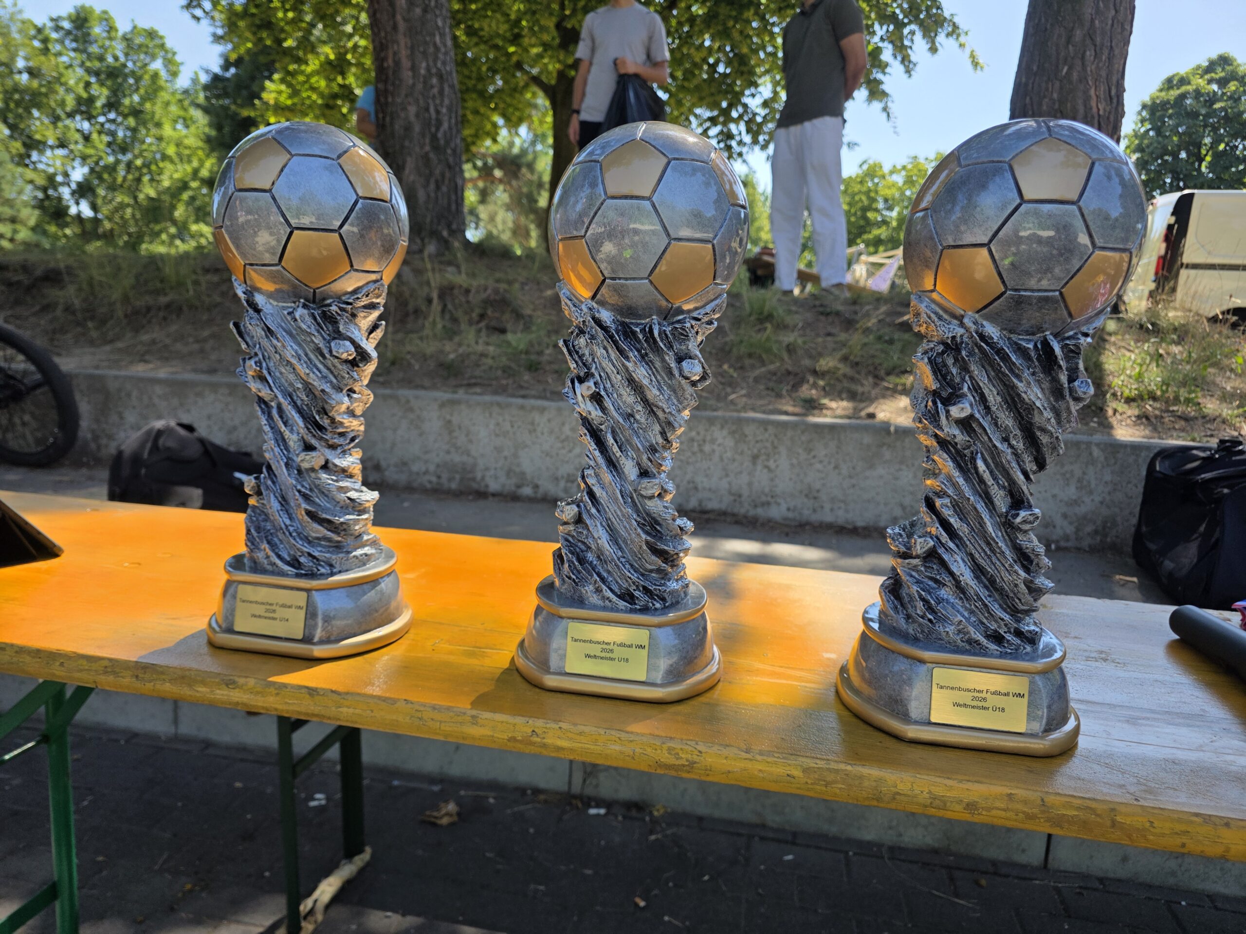 Tannenbuscher Fussball WM Foto 2